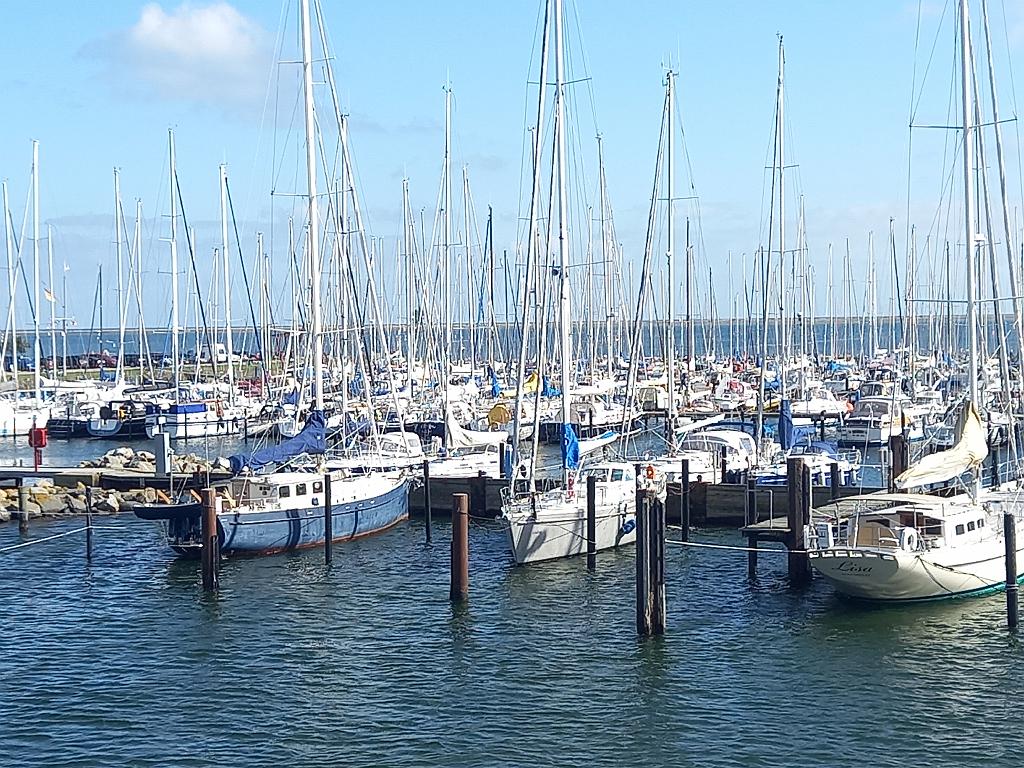 SchleswigKappeln (88)